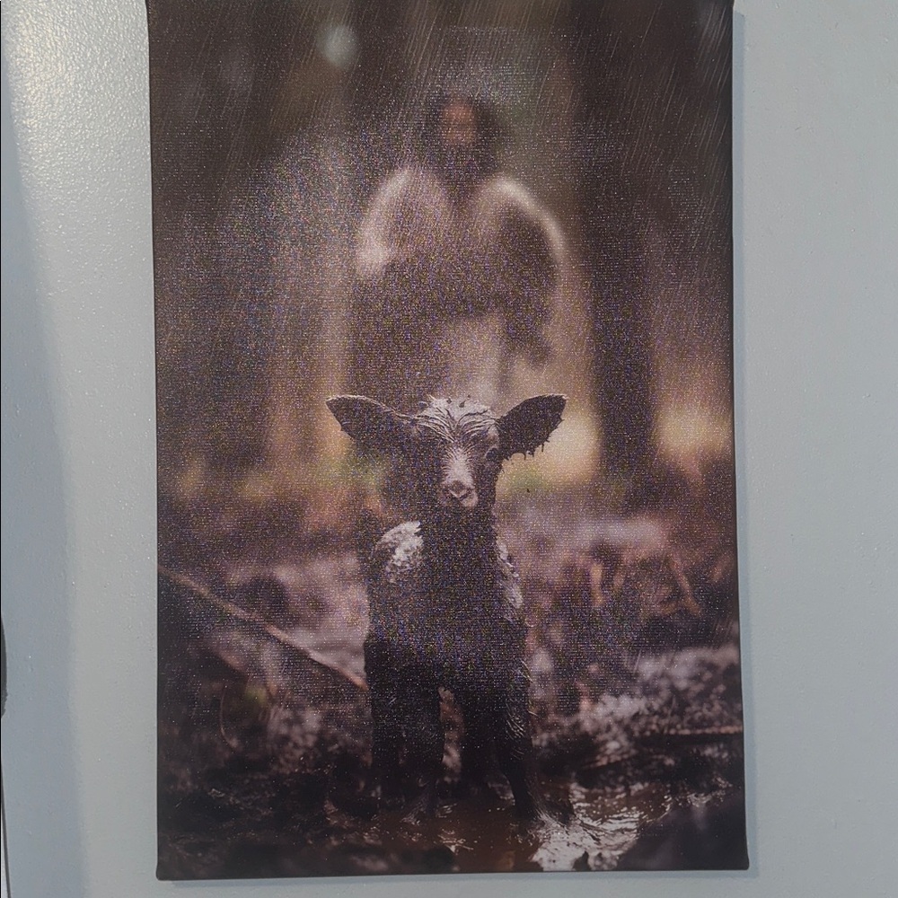 Jesus saving the lost black sheep in Rain Canvas Art 
18 X 23 - Picture 4 of 8